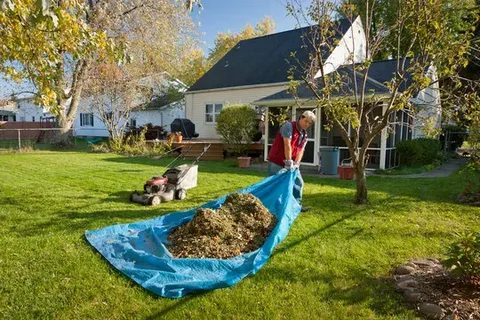Top Backyard Cleanup Services in Van Nuys